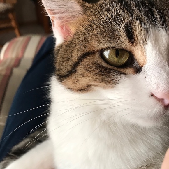 Meet your Posher, Kay - Picture 2 of 2